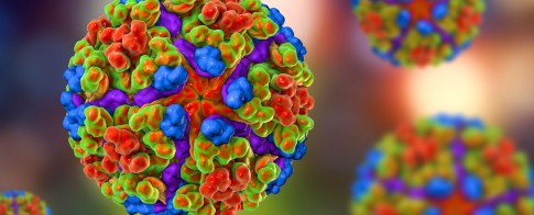 Вспышка вируса Чикунгунья Вспышка вируса Чикунгунья